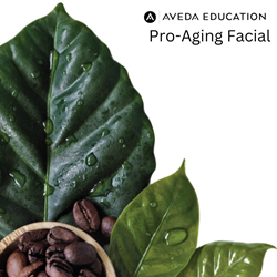 Moncton, NB - Aveda Pro-Aging Facial - September 29th, 2026